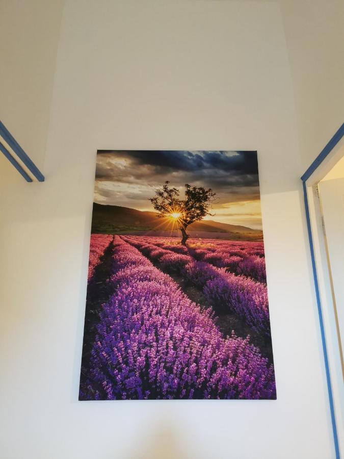 Mas De Ferigoulet -"La Rose Des Vents"& Univers Enfants "Lou Pitchoun" Orgon Exterior photo